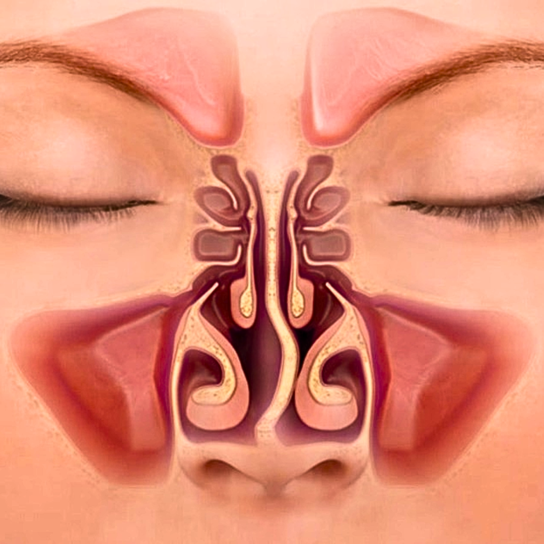 Top Surgeons For Septoplasty Surgery Ent Delhi Clinic