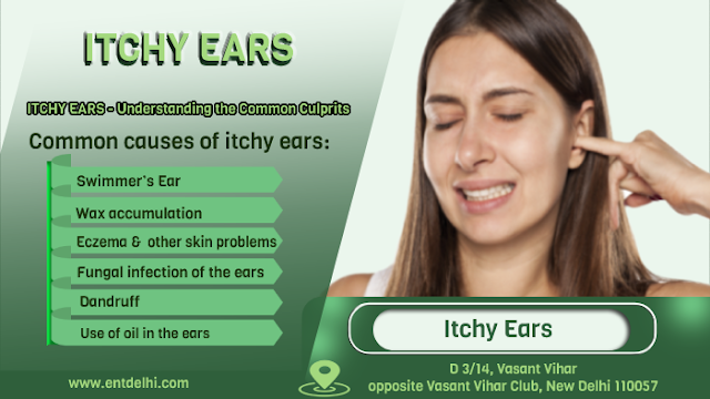 Itchy Ears pp1703 2